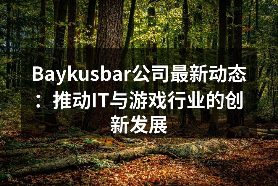 Baykusbar公司最新动态：推动IT与游戏行业的创新发展